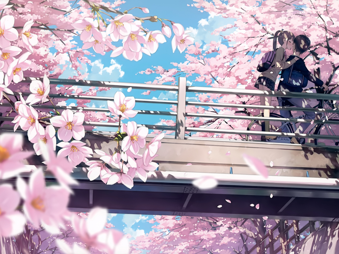Download 1152x864 Wallpaper Cherry Blossom, Anime, Couple ...