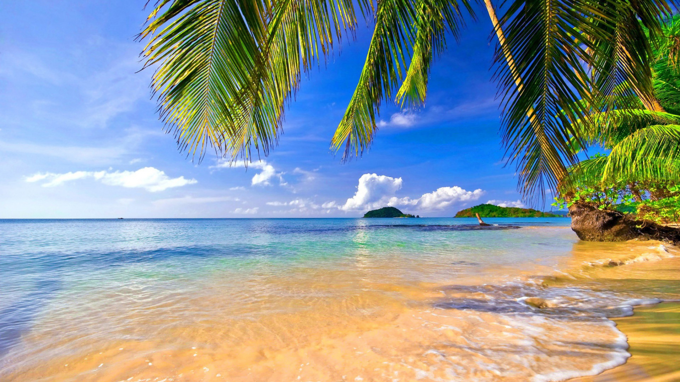 Desktop Wallpaper Palm Tree And Beach, Hd Image, Picture, Background ...
