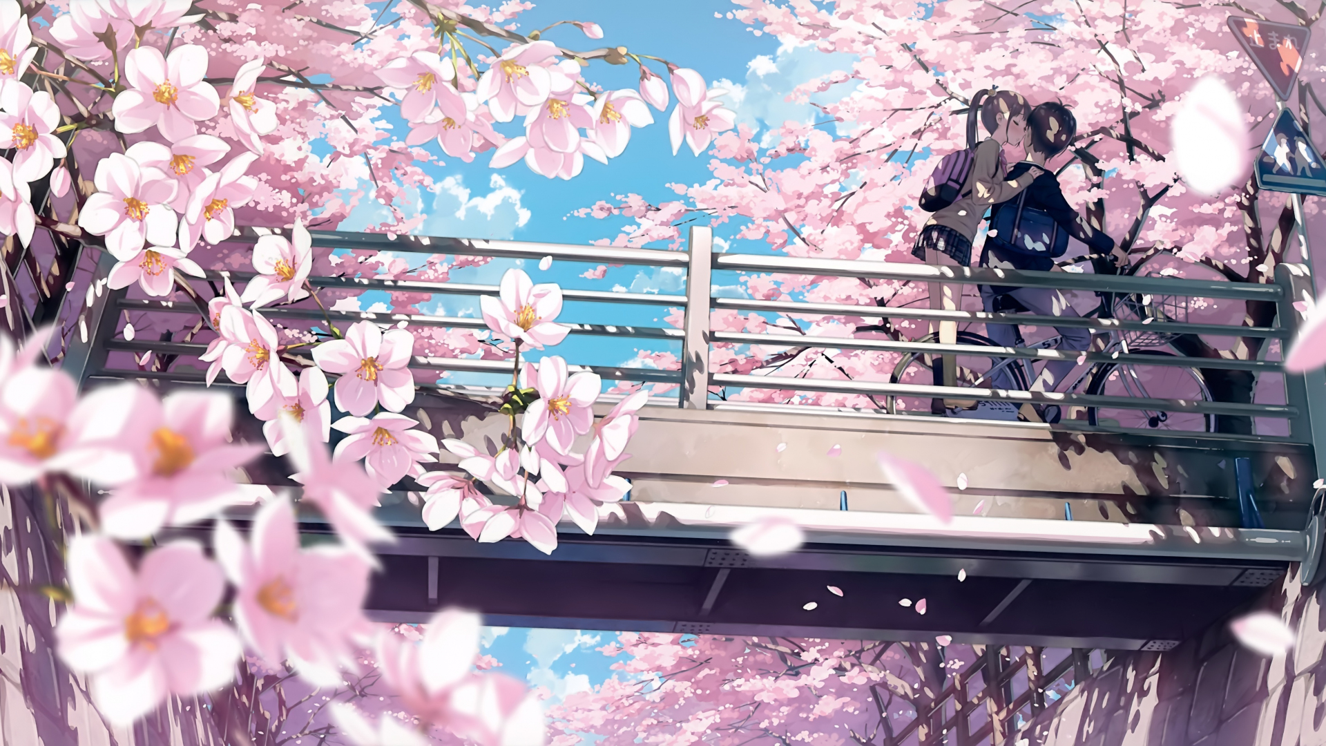 Download 1920x1080 Wallpaper Cherry Blossom, Anime, Couple ...