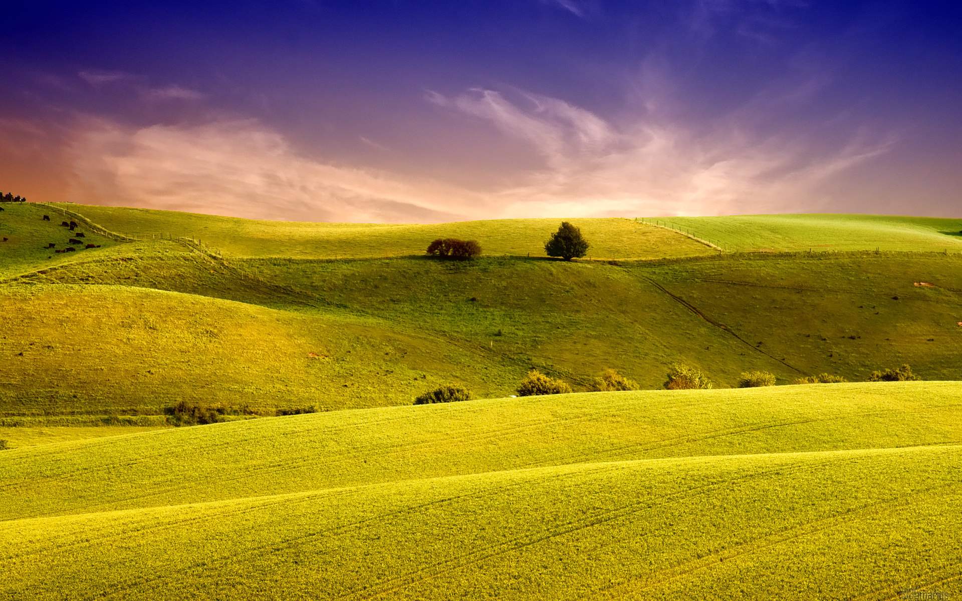 Desktop Wallpaper Green Hills, Sunset, Landscape, Nature, Hd Image