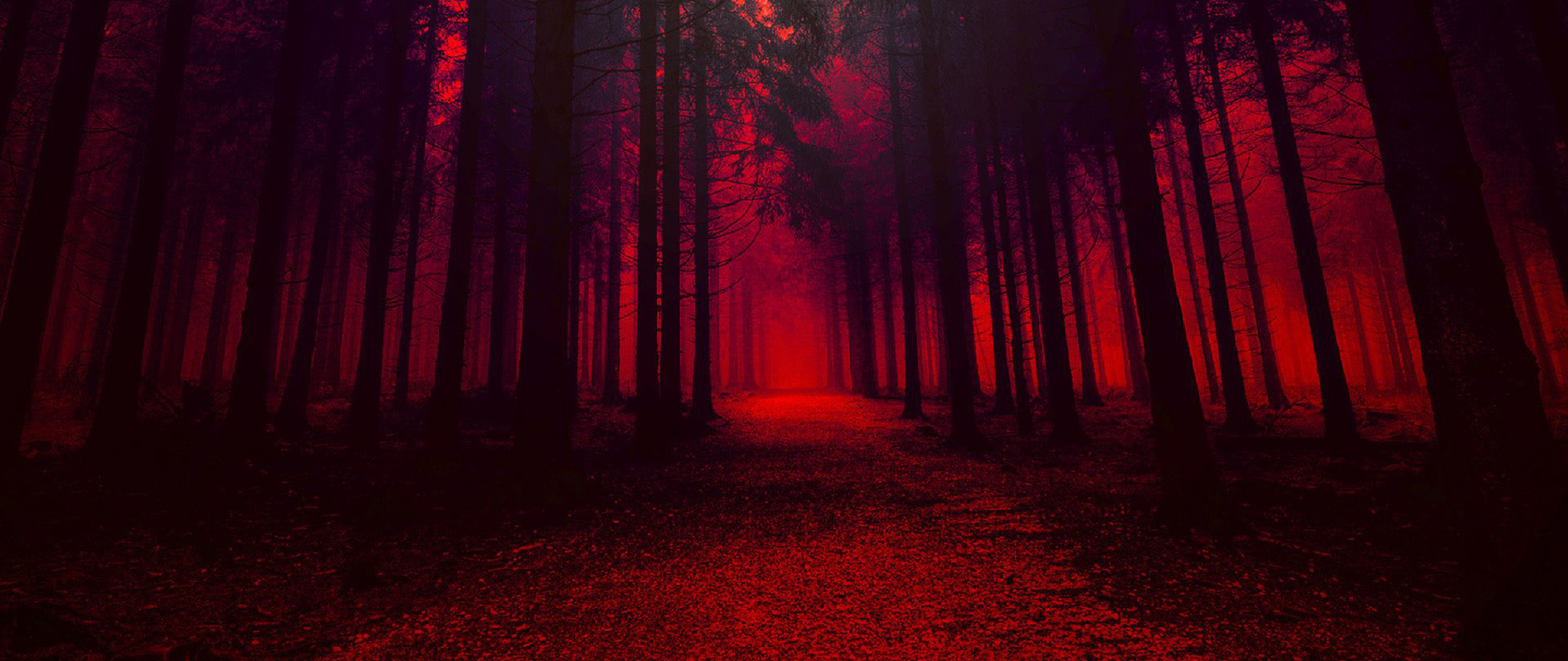 Download 2560x1080 Wallpaper Red Theme, Forest, Pathway, Dark, Dual Wide,  Widescreen, 2560x1080 Hd Image, Background, 34276