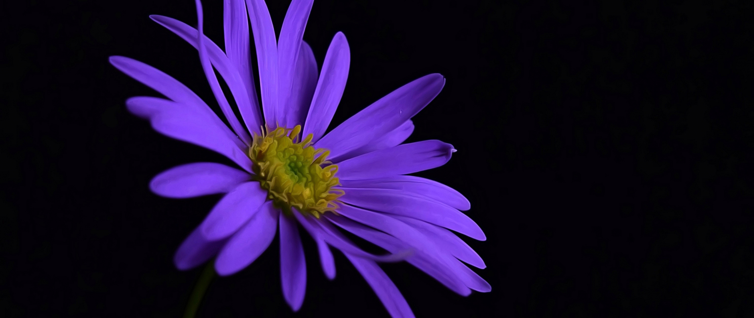 Desktop Wallpaper Purple Flower, Portrait, Blossom, Hd Image, Picture ...