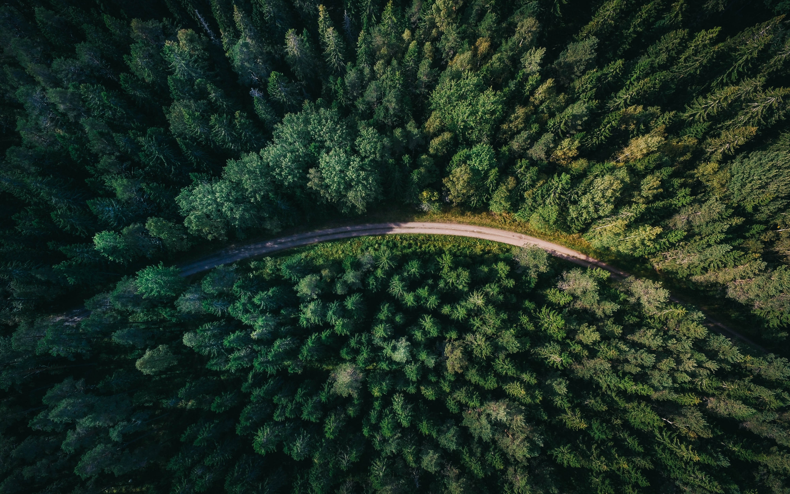 Desktop Wallpaper Road Through Trees, Aerial View, Hd Image, Picture