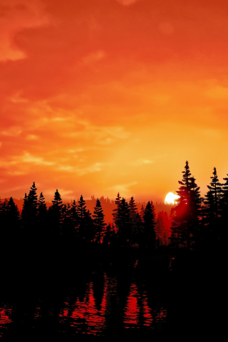 320x480 wallpaper Far Cry 5, sunset, orange sky, silhouette