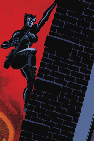 320x480 wallpaper Catwoman, climb, dc comics