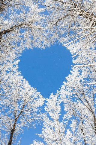 320x480 wallpaper Trees, winter, blue sky, heart, nature