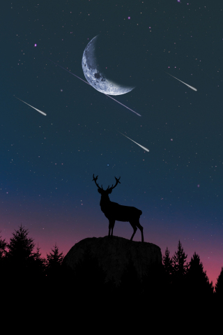320x480 wallpaper Deer, moon, night, artwork