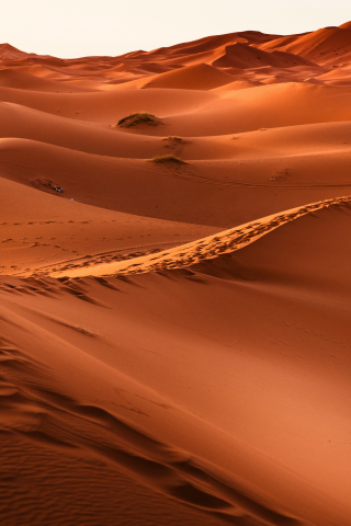 320x480 wallpaper Morocco, desert, sand, dunes, 5k