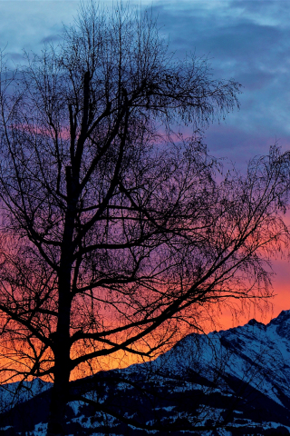 320x480 wallpaper Tree, clouds, sunrise, mountains, 5k