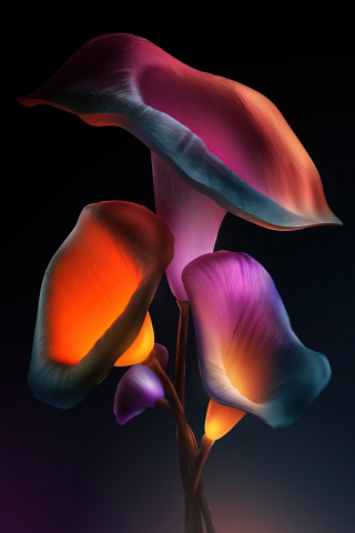 320x480 wallpaper Iris flowers, dark glowing digital art