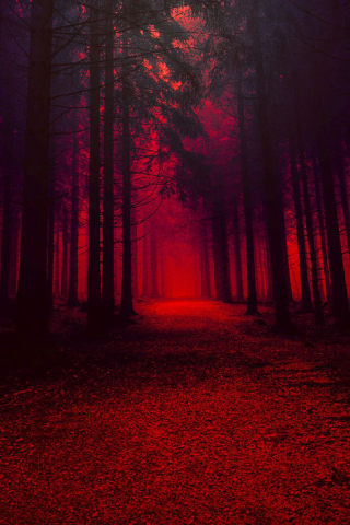 Download 320x480 Wallpaper Red Theme, Forest, Pathway, Dark, Samsung Galaxy  Ace Gt S5830, Sony Xperia E, Miro, Htc Wildfire S, C, Lg Optimus, 320x480 Hd  Image, Background, 34276