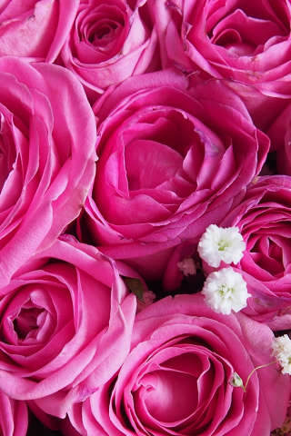 320x480 wallpaper Pink roses, flowers, 4k, decorations
