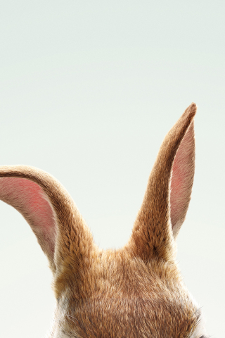 320x480 wallpaper Peter Rabbit, Rabbit, 2018 movie, ears, minimal, 4k