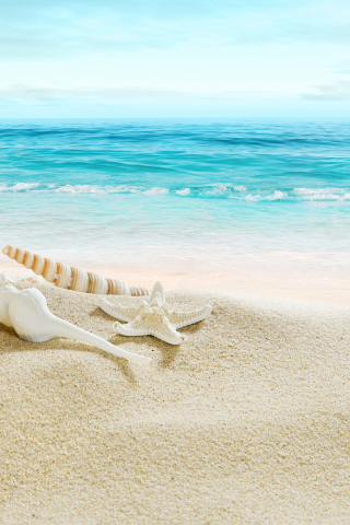 320x480 wallpaper Horizon, beach, shell, sand, summer