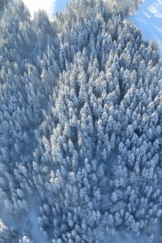 320x480 wallpaper Winter, forest, aerial view, 4k