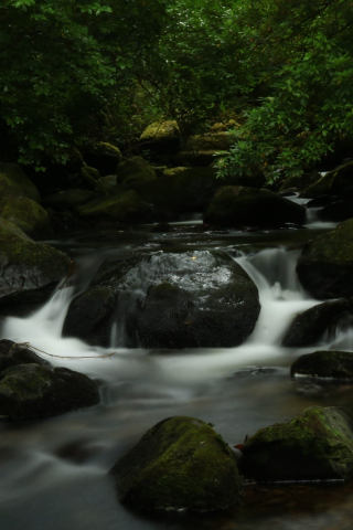320x480 wallpaper Water running, river, nature, forest, rocks