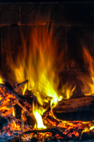 320x480 wallpaper Fire of wood, woodfire, flames