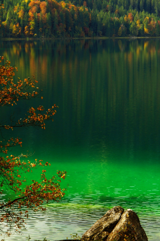320x480 wallpaper Lake, forest, tree, nature, 4k