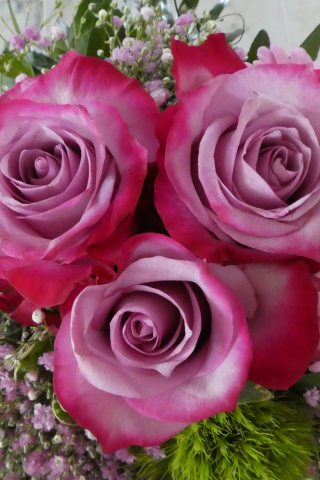 320x480 wallpaper Pink roses, bouquet, flowers, 4k