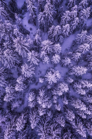 320x480 wallpaper Snowy forest, aerial view, snowfall, trees, winter