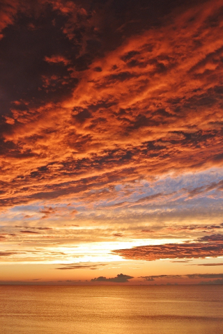 320x480 wallpaper Orange clouds, sunset, skyline, sea