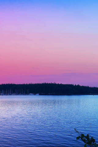 320x480 wallpaper Pink skyline, sunset, lake, trees