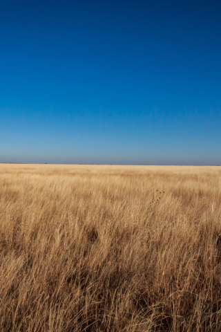 320x480 wallpaper Sky, grassland, landscape, 4k