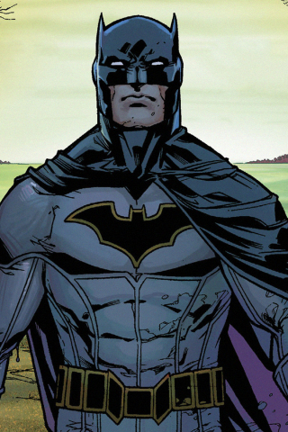 320x480 wallpaper Confident batman, dc comics
