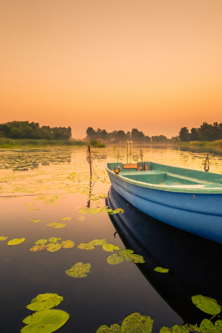 320x480 wallpaper Boat, lily flowers on water, lake, sunset