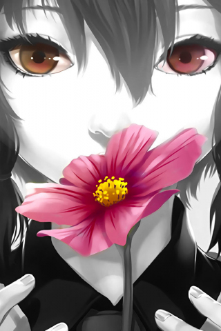Desktop Wallpaper Anime Girl, Flower, Pink Flower, Original, Hd Image ...