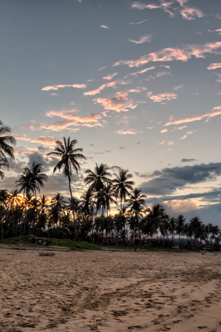 320x480 wallpaper Sunset, beach, palm tree, sky, 4k