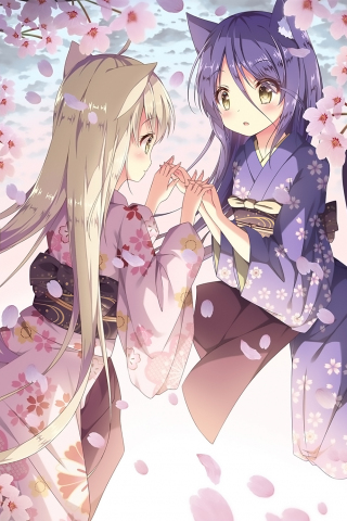 320x480 wallpaper Blossom, anime girls, Konohana Kitan