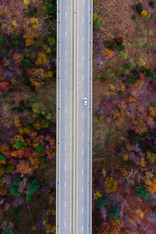 320x480 wallpaper Road, trees, aerial view, autumn, 4k
