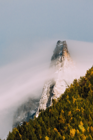320x480 wallpaper Mountain cliff, fog, tree, forest, nature