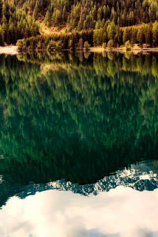 320x480 wallpaper Lake, tree, reflections, nature
