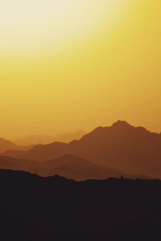 320x480 wallpaper Camel, animal, mountains, sunset, horizon