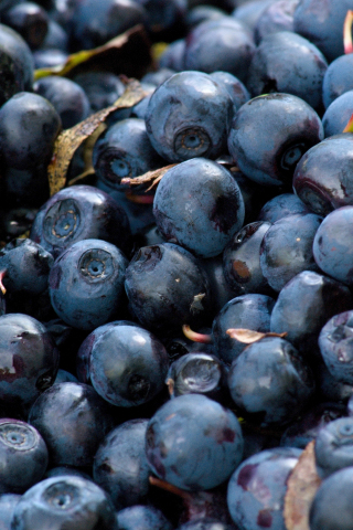 320x480 wallpaper Blueberries, blue fruits, berries