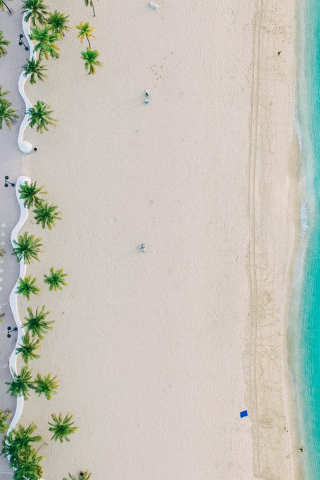 320x480 wallpaper Beach, blue sea, palm tree, Aerial view