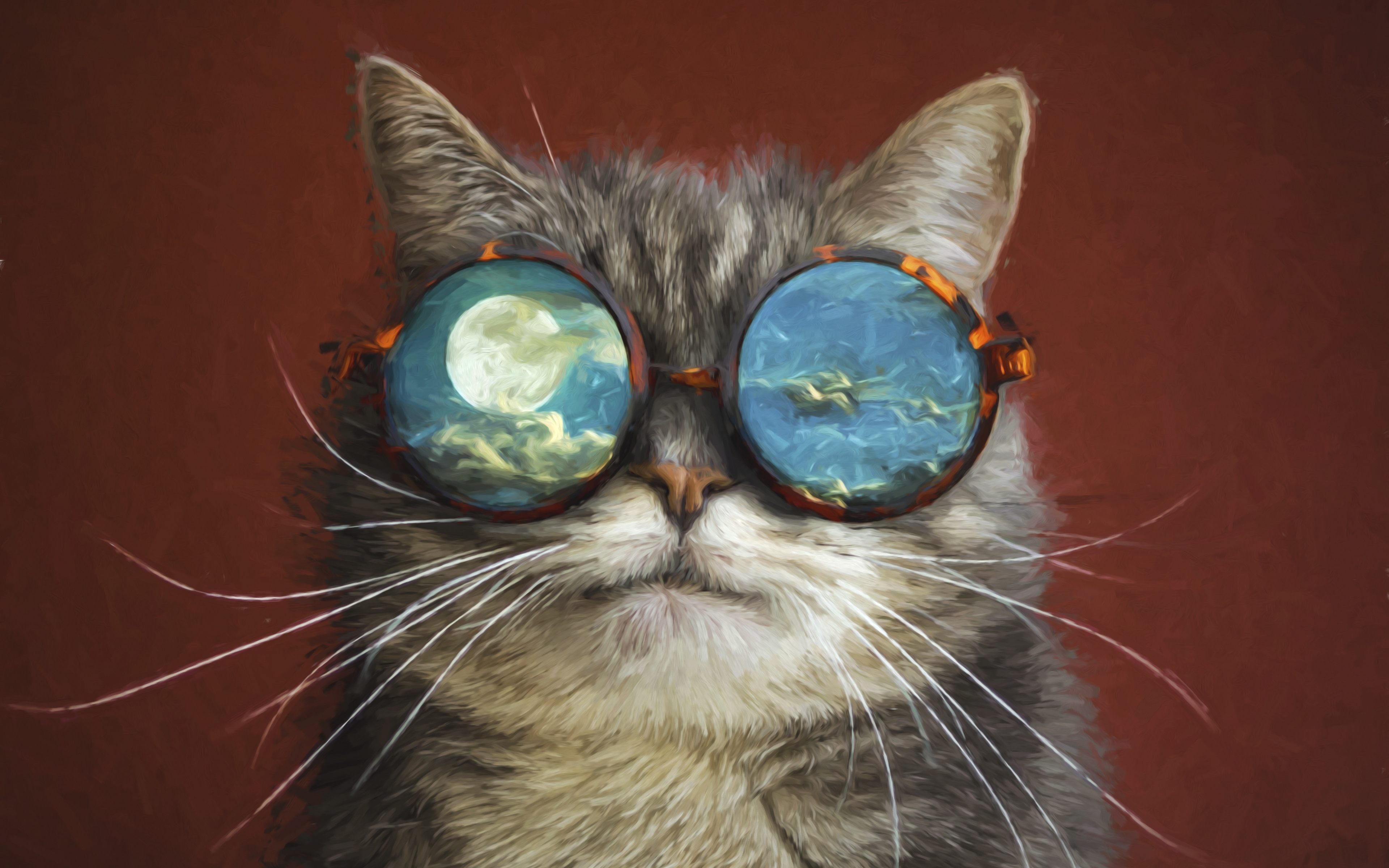 Download 3840x2400 Wallpaper  Funny Sunglasses  Cat  s 