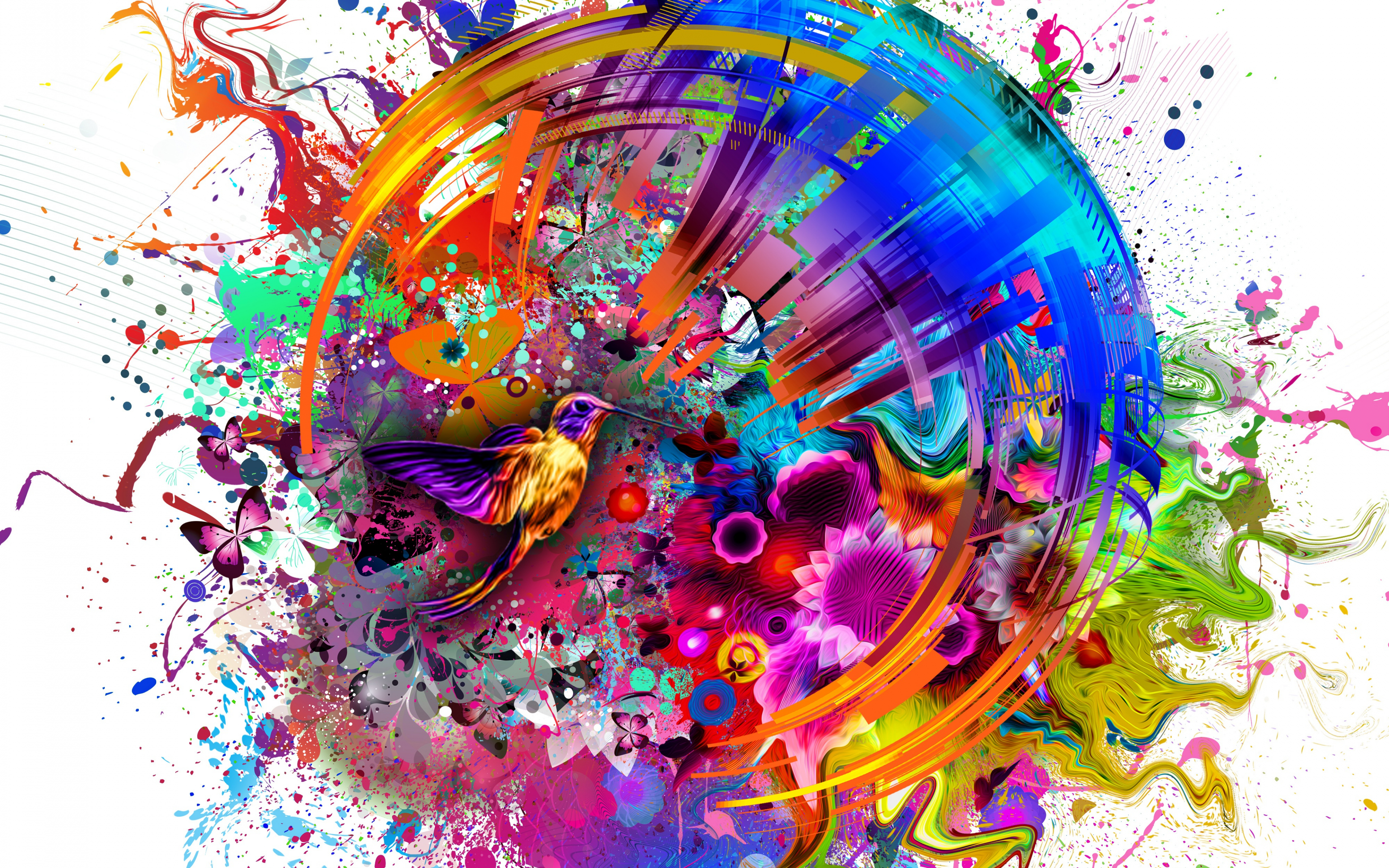 Download 3840x2400 Wallpaper Abstract  Colors Flashy Bird 