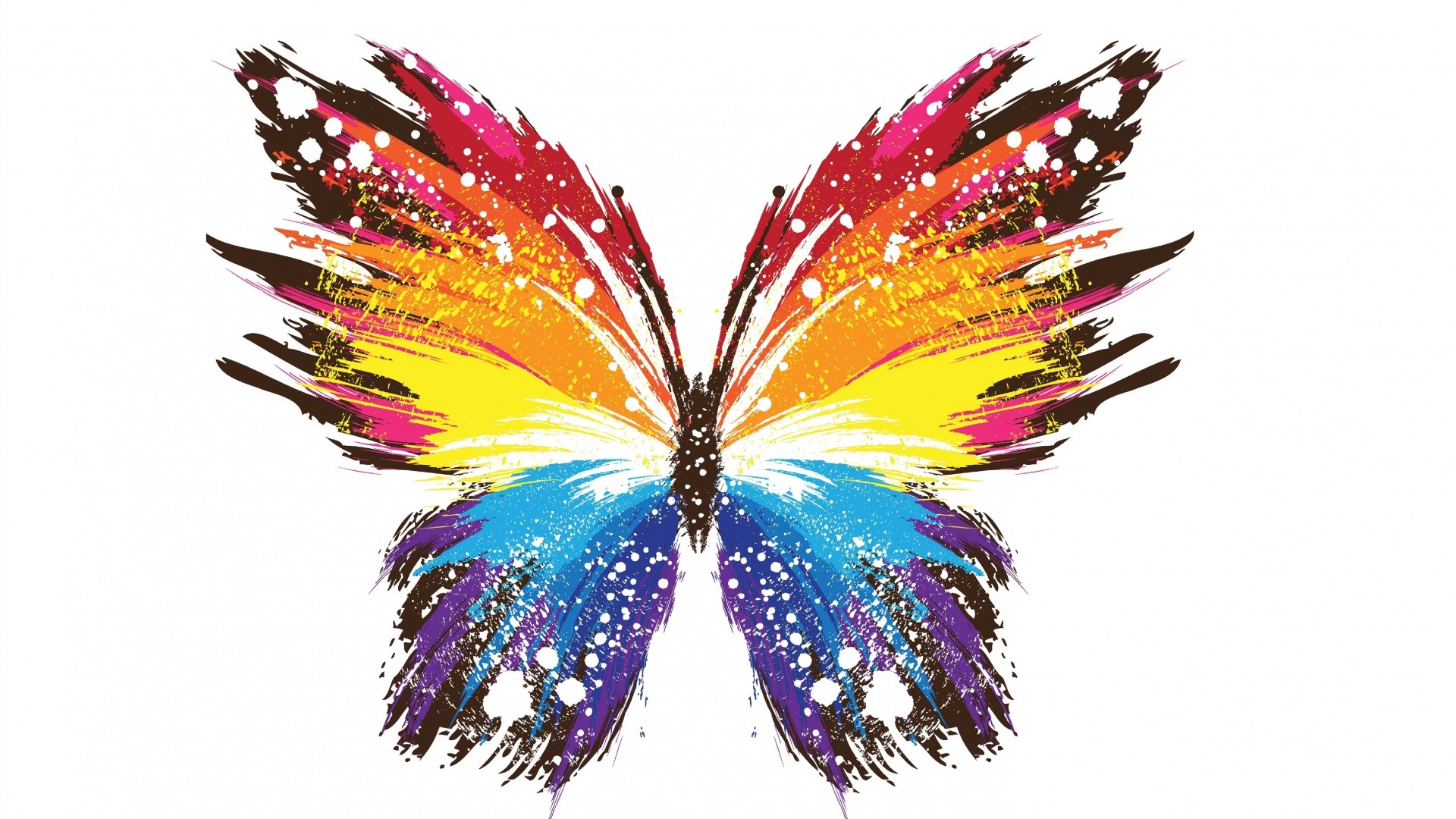Wallpaper Colorful butter fly artwork