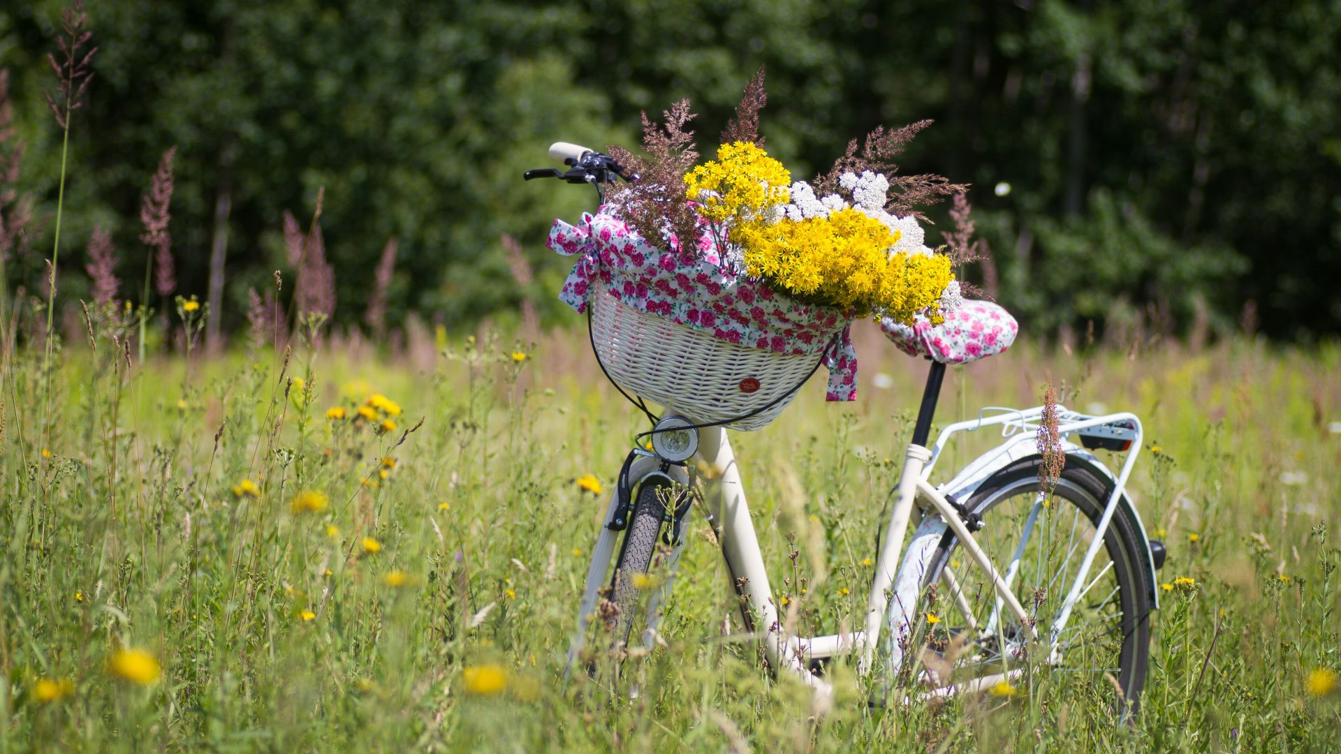 Wallpaper Meadow, bicycle, flowers, basket, plants