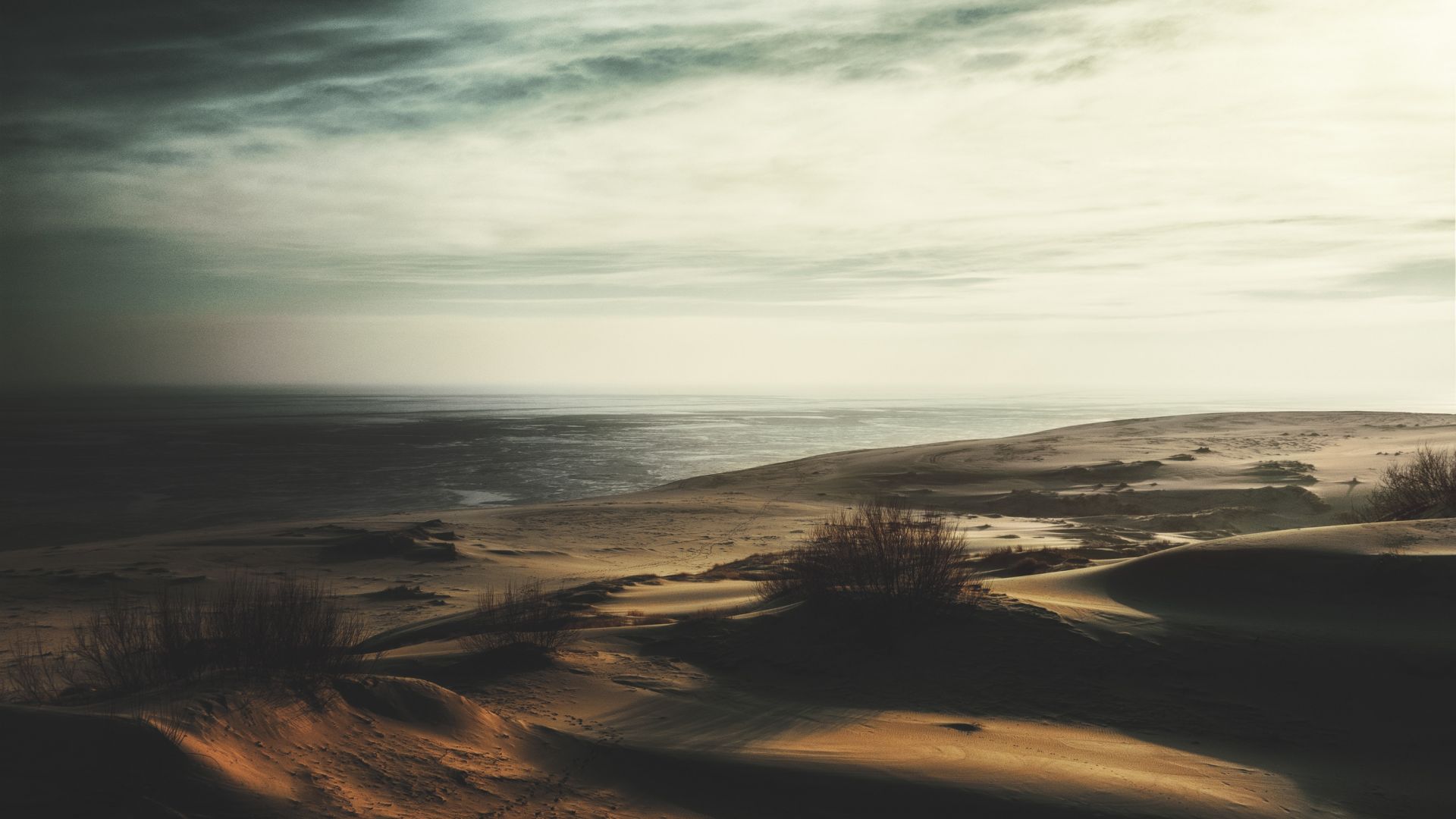 Wallpaper Dunes, sand, plants, desert, nature