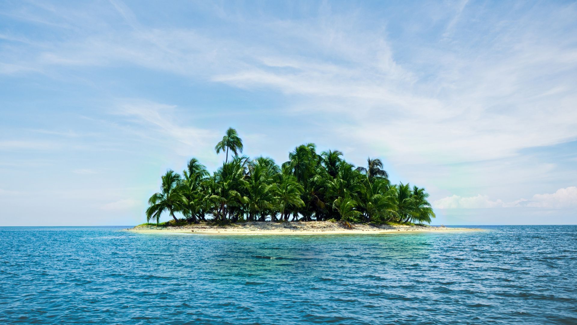 Wallpaper Caribbean island, holiday, summer, sea, palm tree