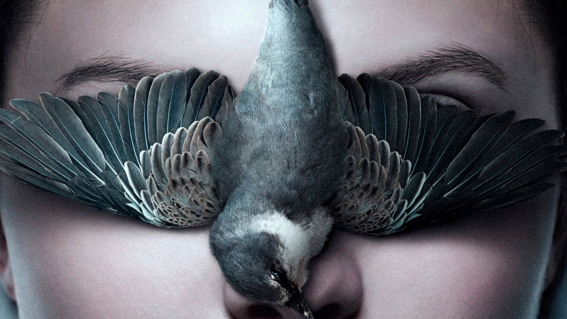 Wallpaper Thelma, 2017 movie, bird, face, 4k