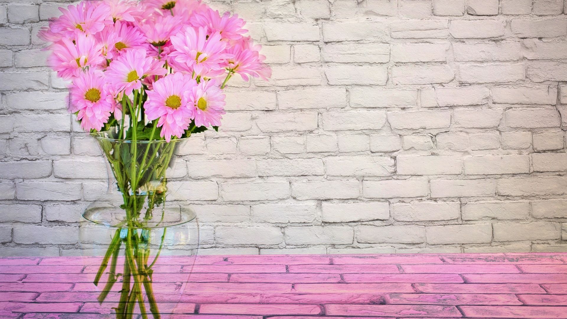 Wallpaper Daisies flowers in vase, pink daisy
