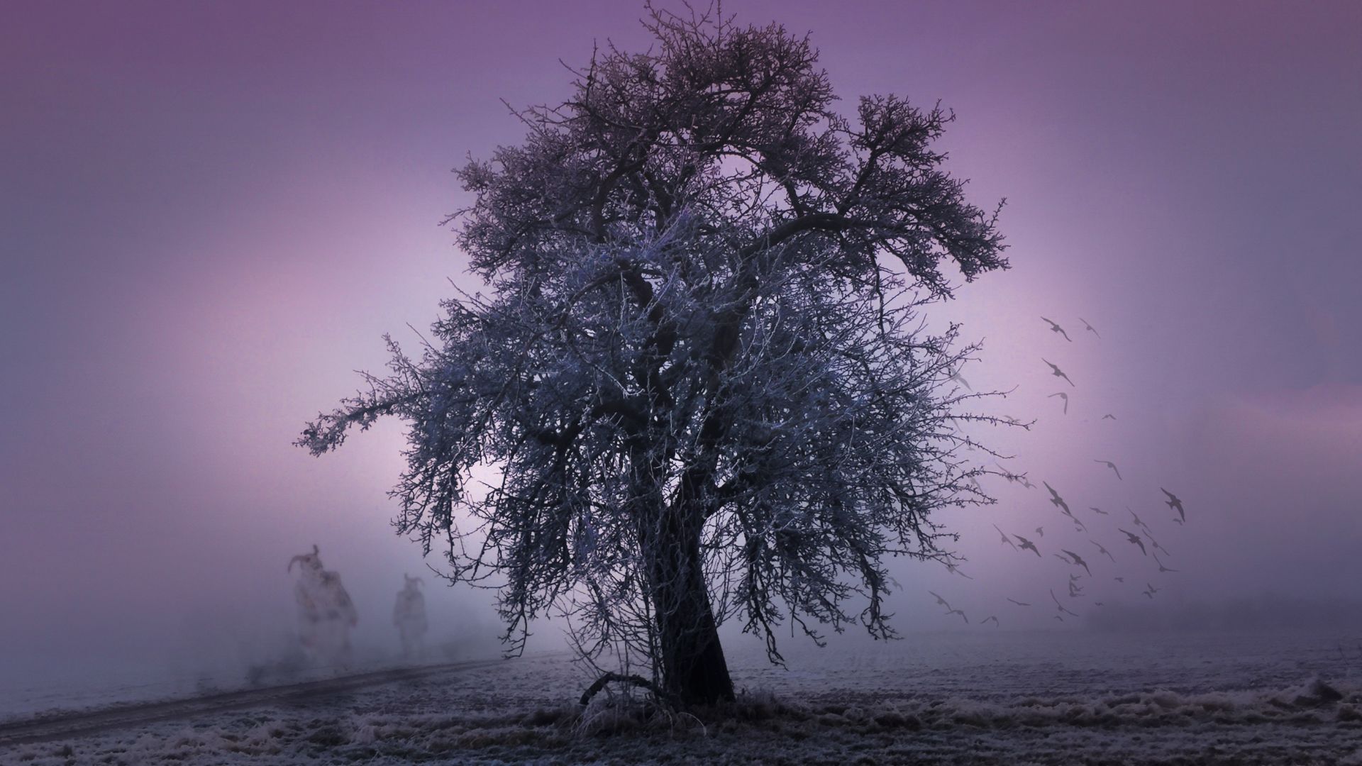 Wallpaper Tree, night, winter, fog, mist