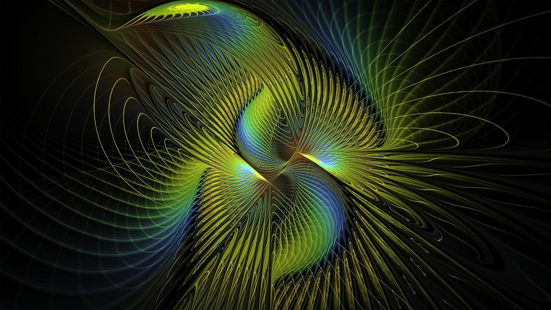 Wallpaper Fractal patterns feathers lines