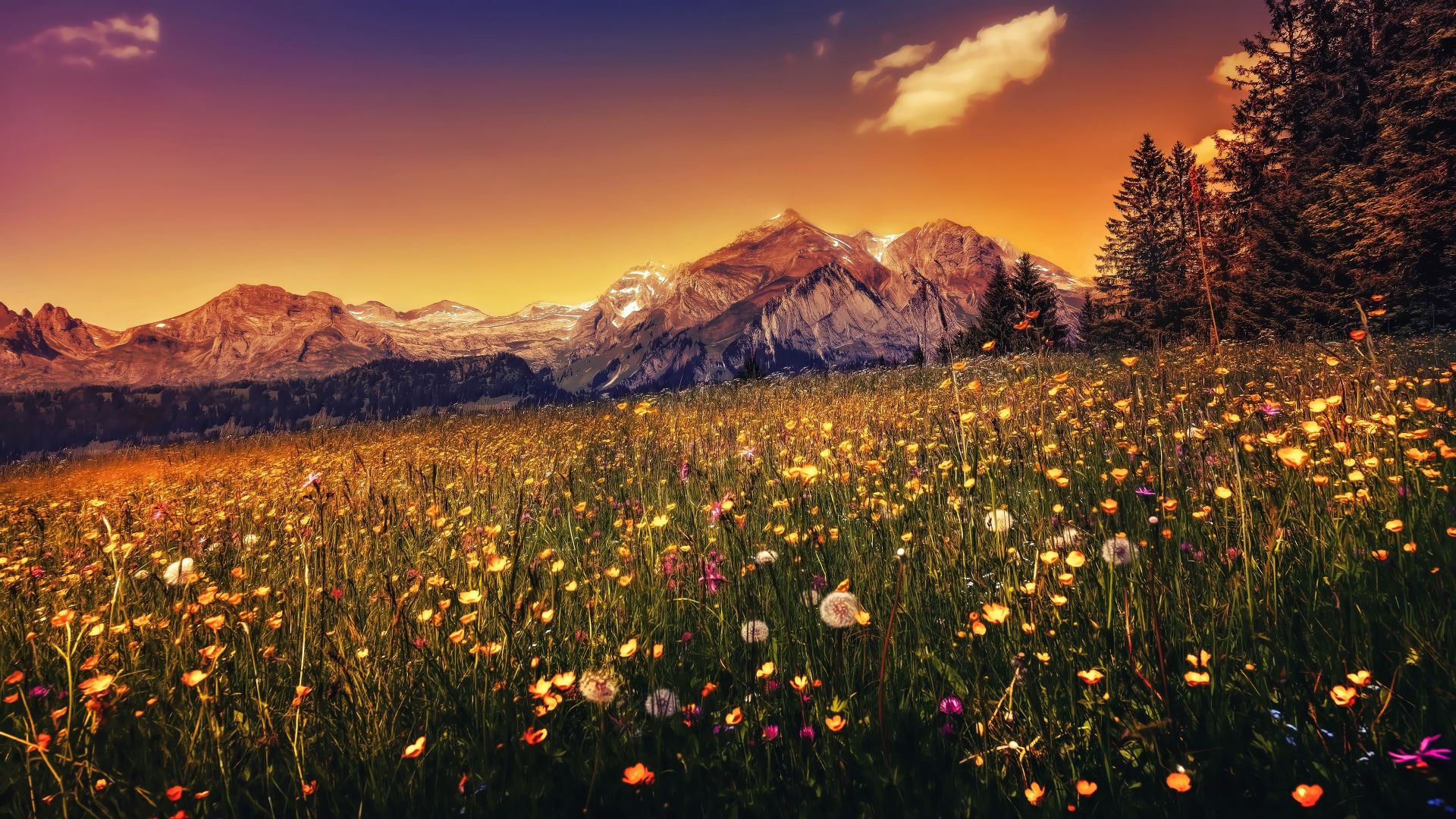Desktop Wallpaper Landscape, Sunset, Plants, Mountains, 4k, Hd Image,  Picture, Background, 16eaad