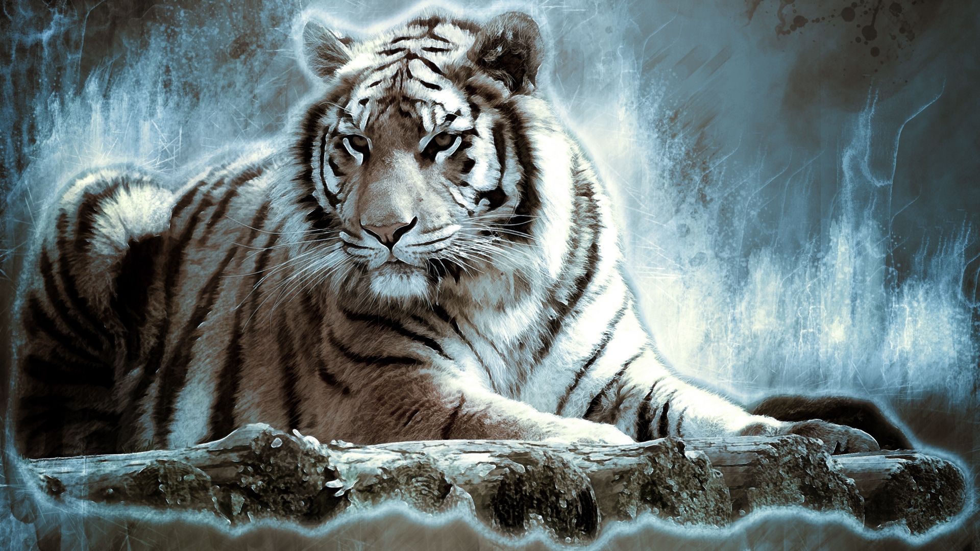 Wallpaper Tiger, predator, art